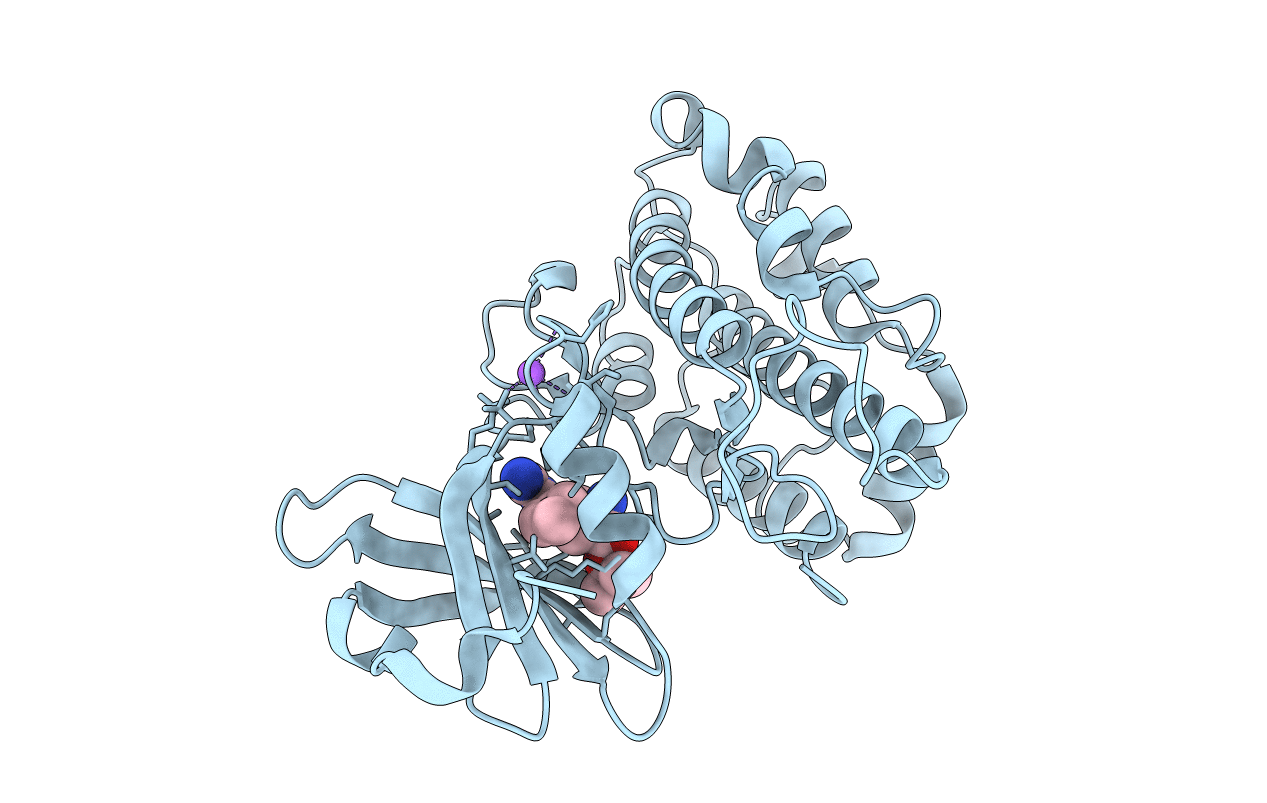 4D9U image