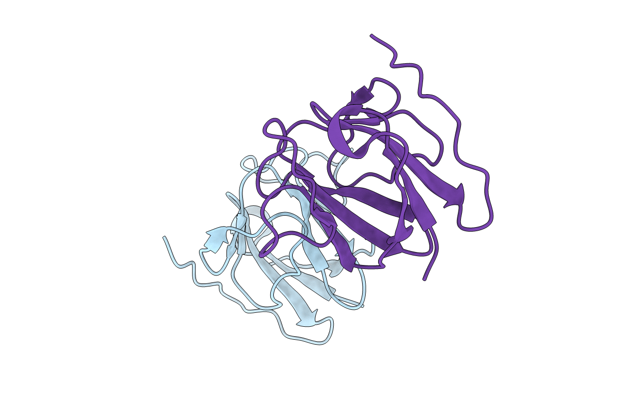 4D9V image