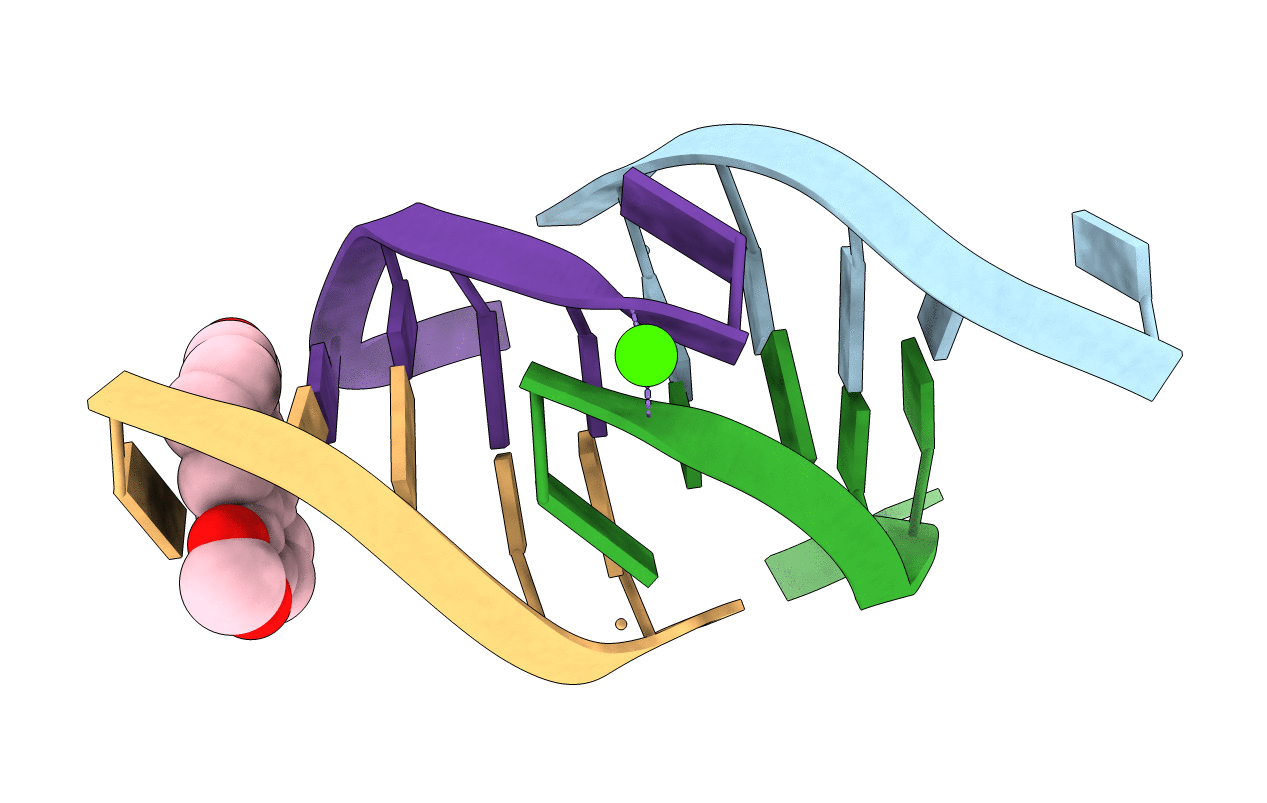 4D9X image