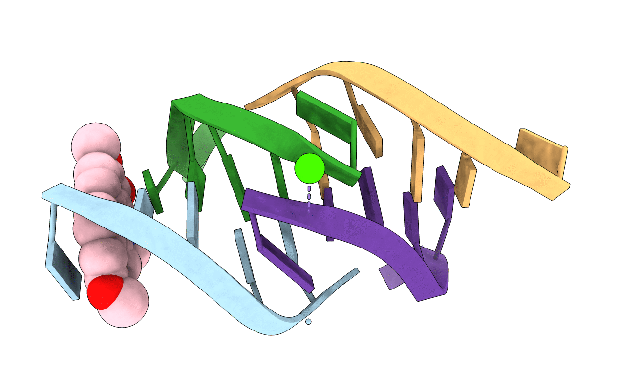 4D9Y image