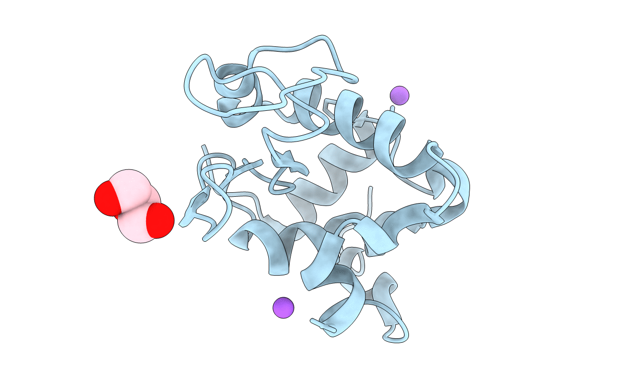 4D9Z image