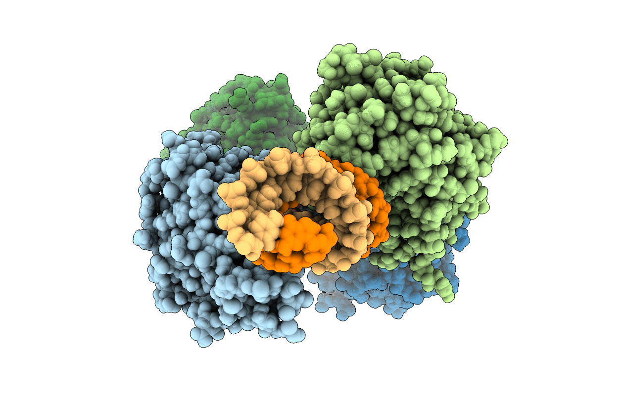 4DB2 image