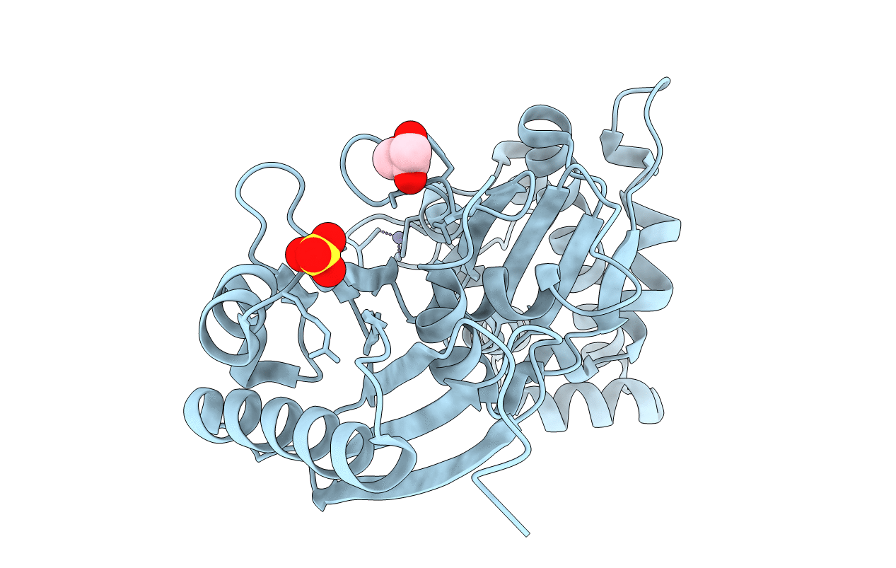 4DB3 image