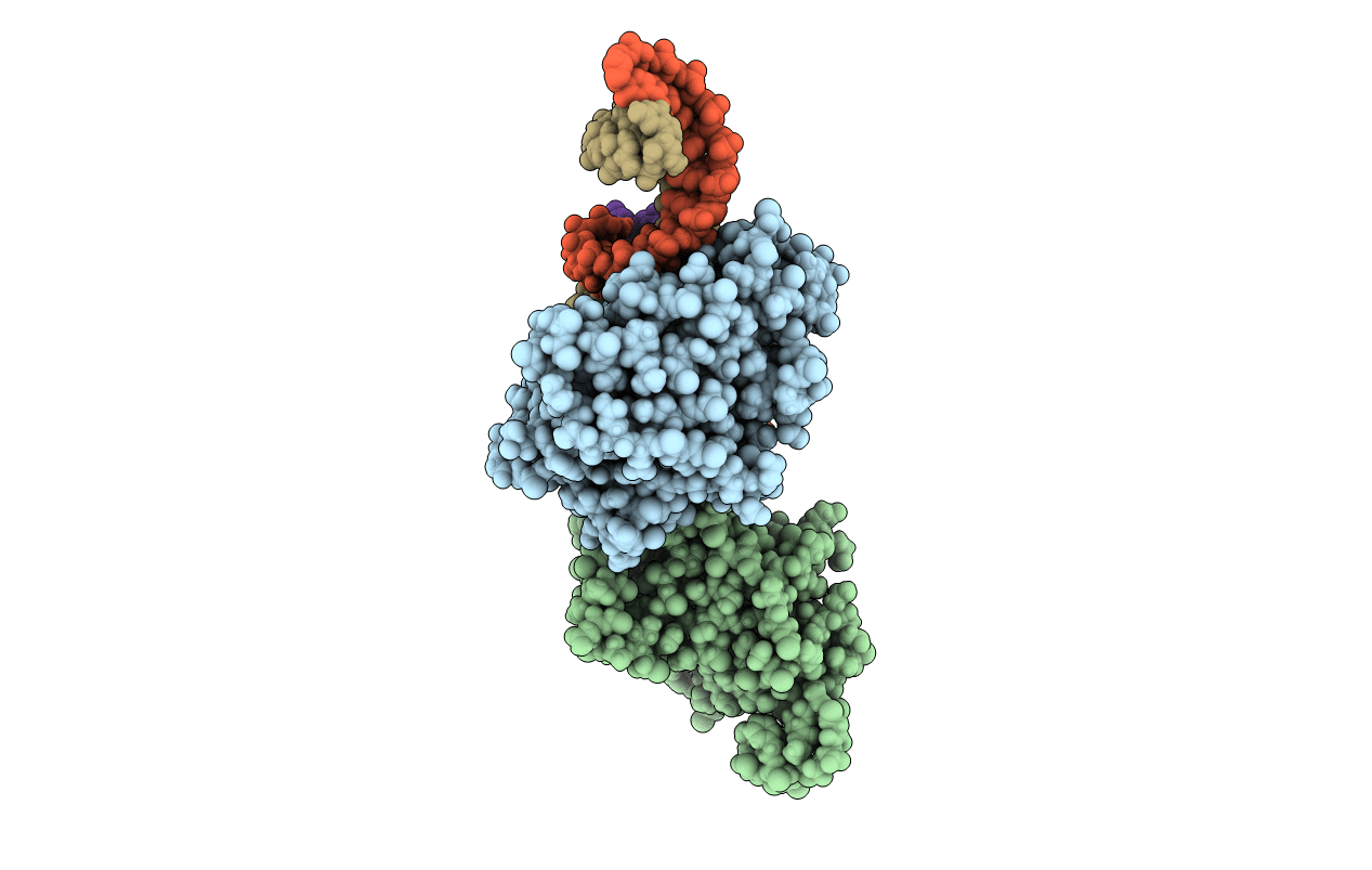 4DB4 image