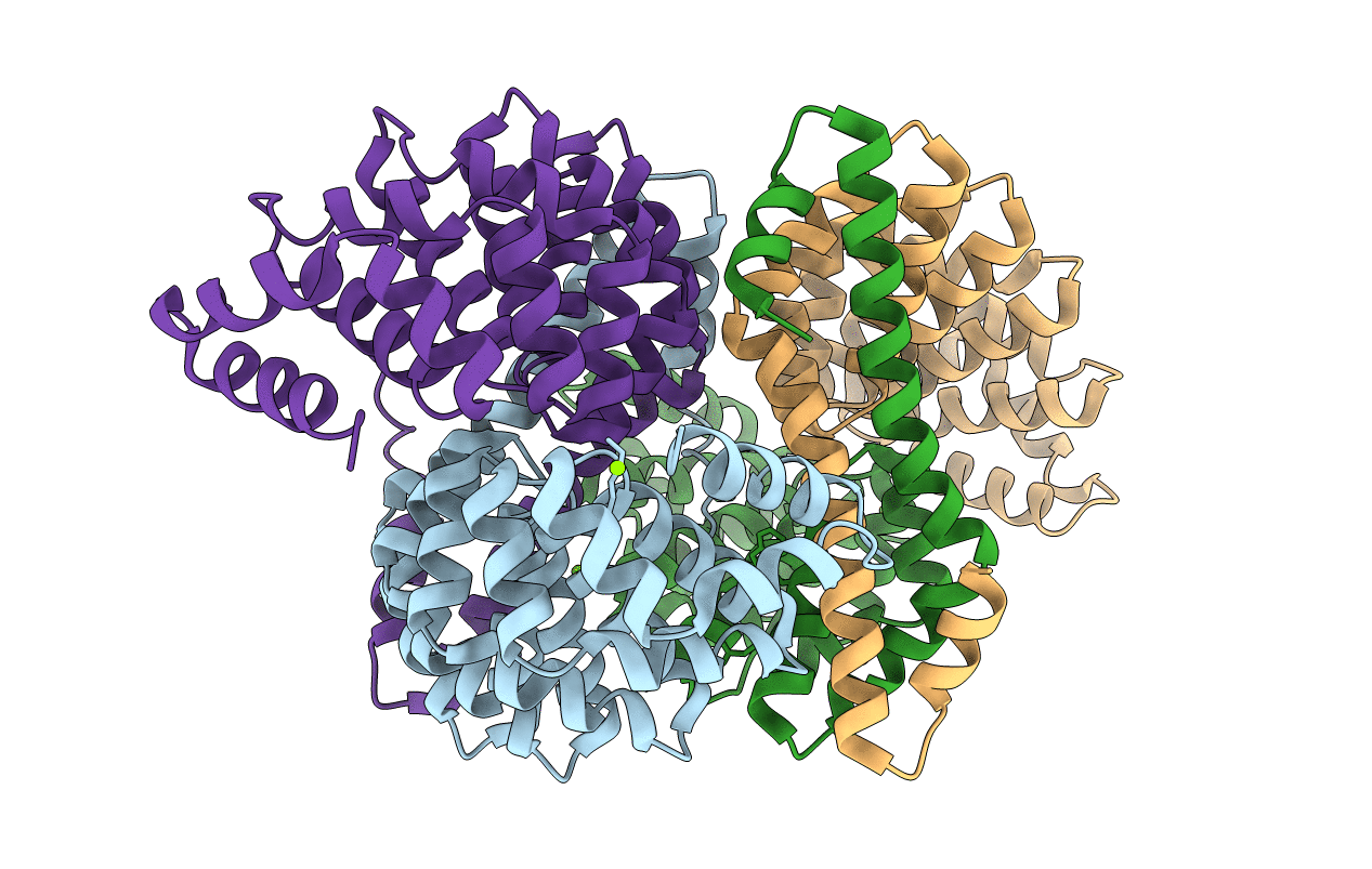 4DB8 image
