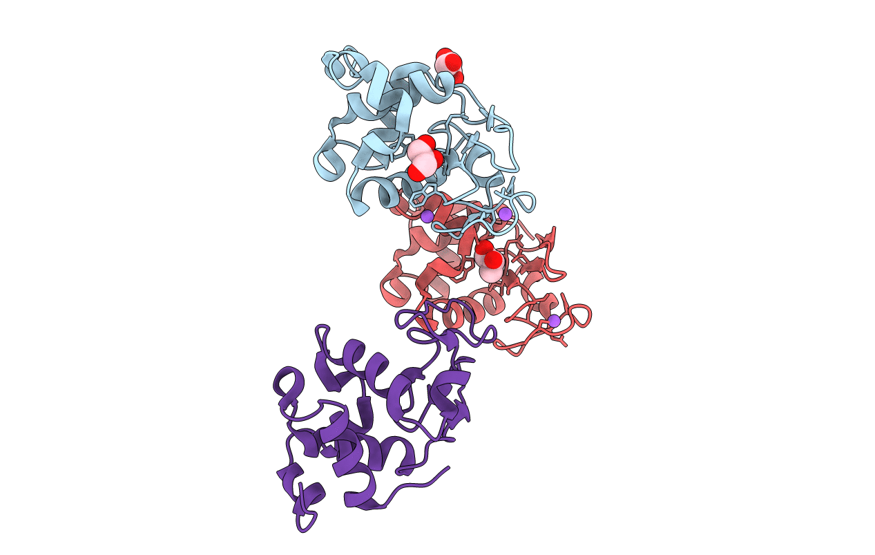 4DC4 image