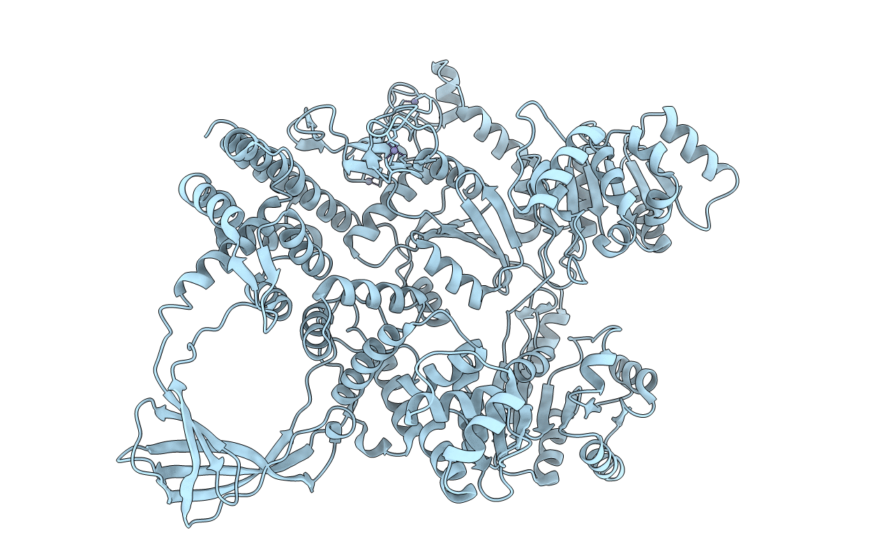 4DDU image
