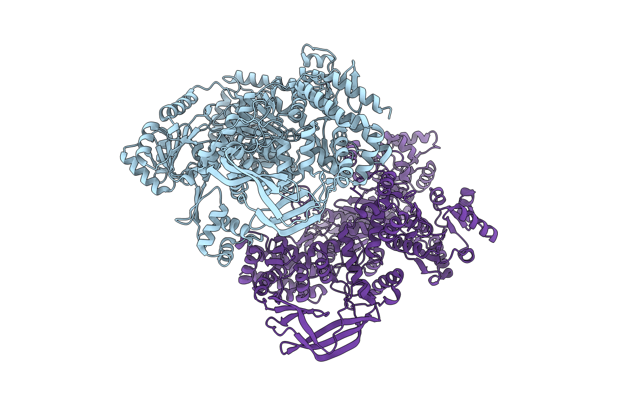 4DDV image