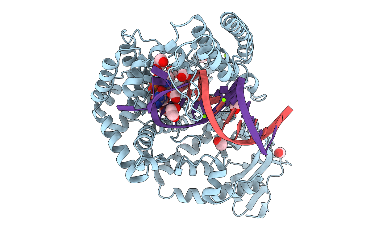 4DFP image