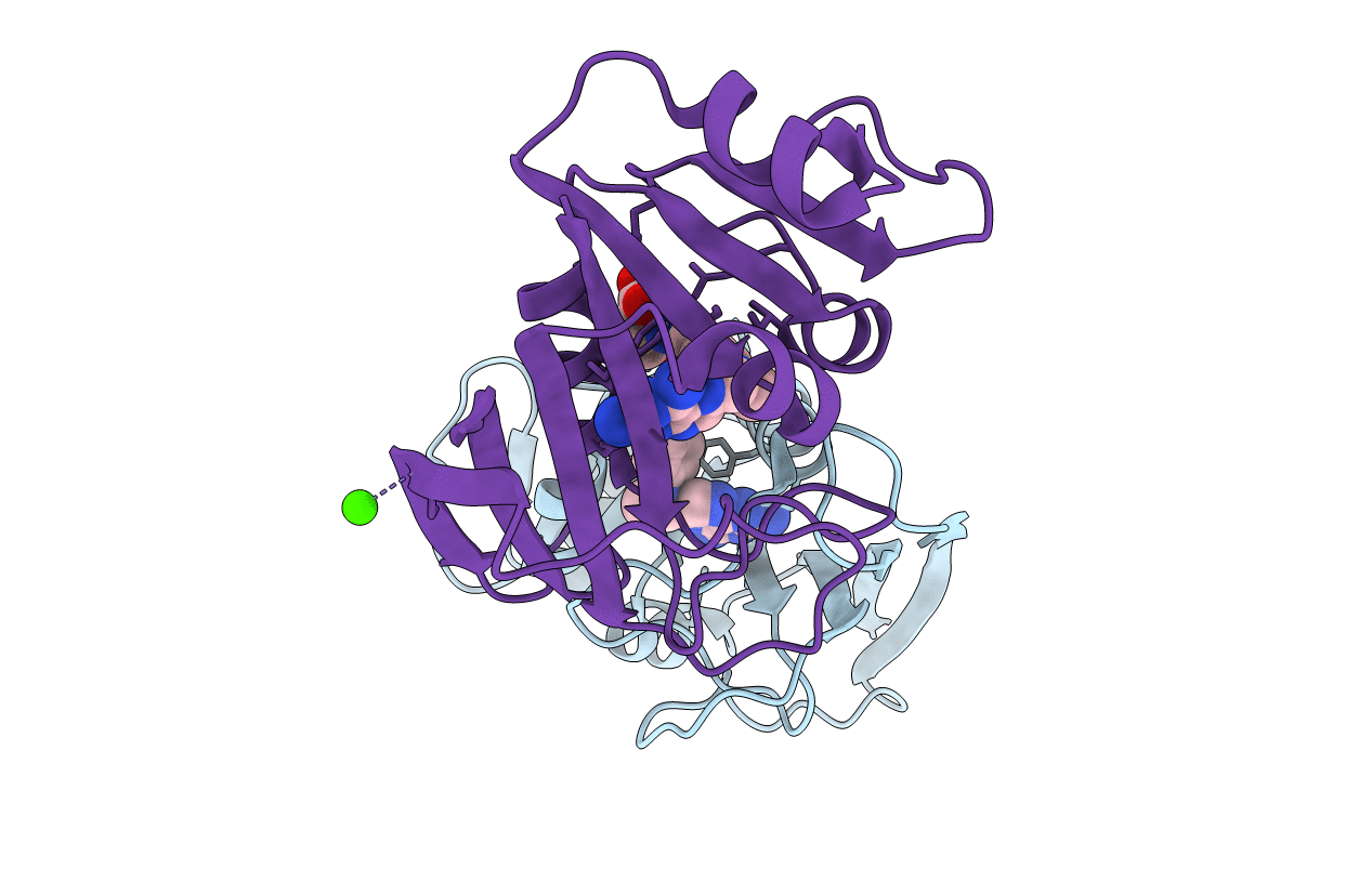 4DFR image