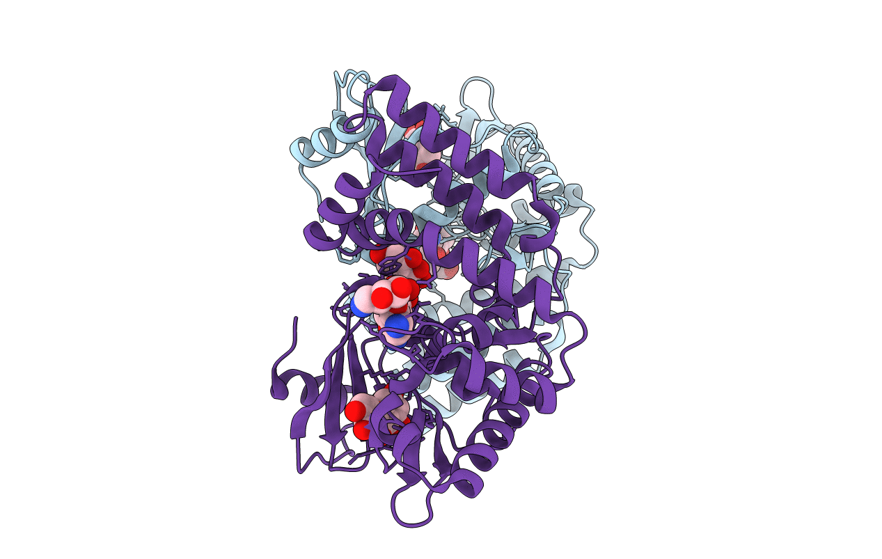 4DFU image
