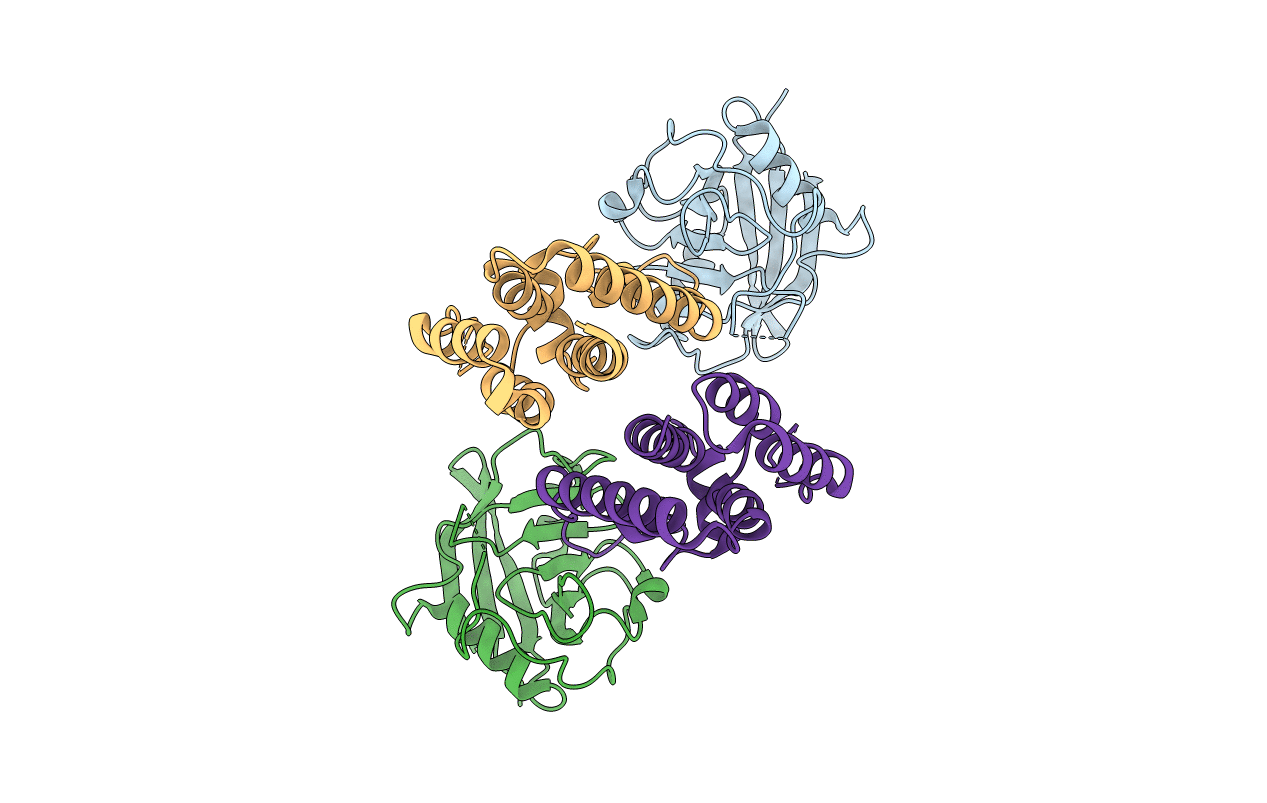 4DGA image