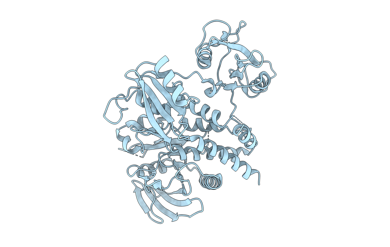 4DGX image