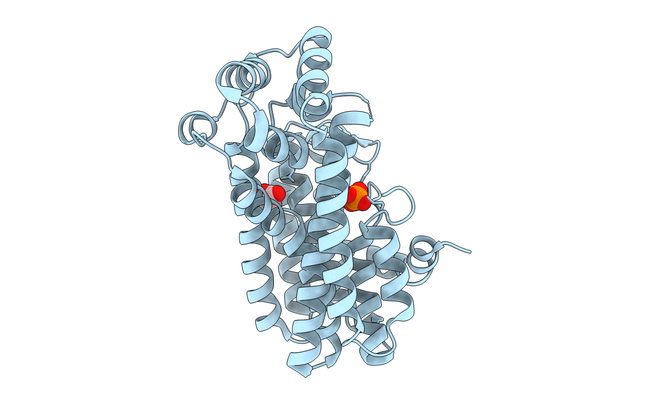 4DHD image