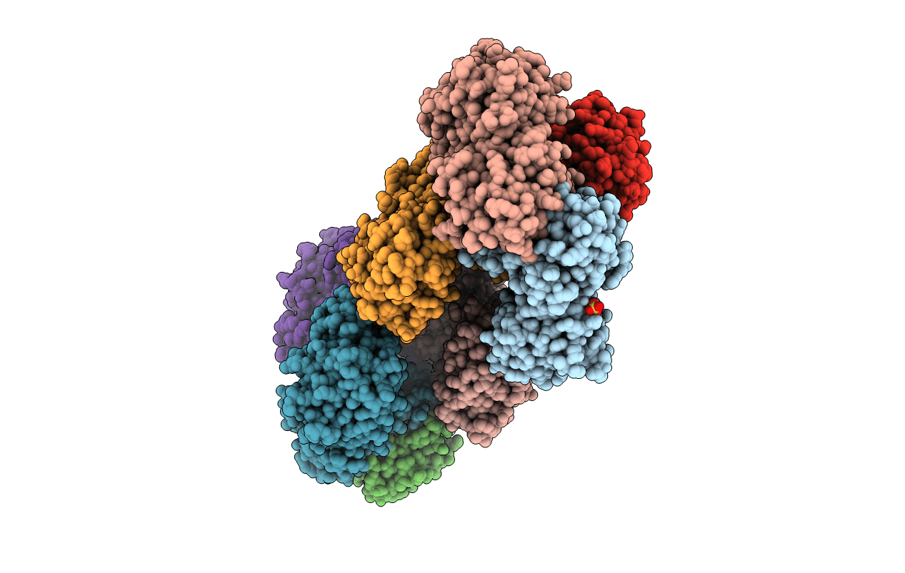 4DIB image