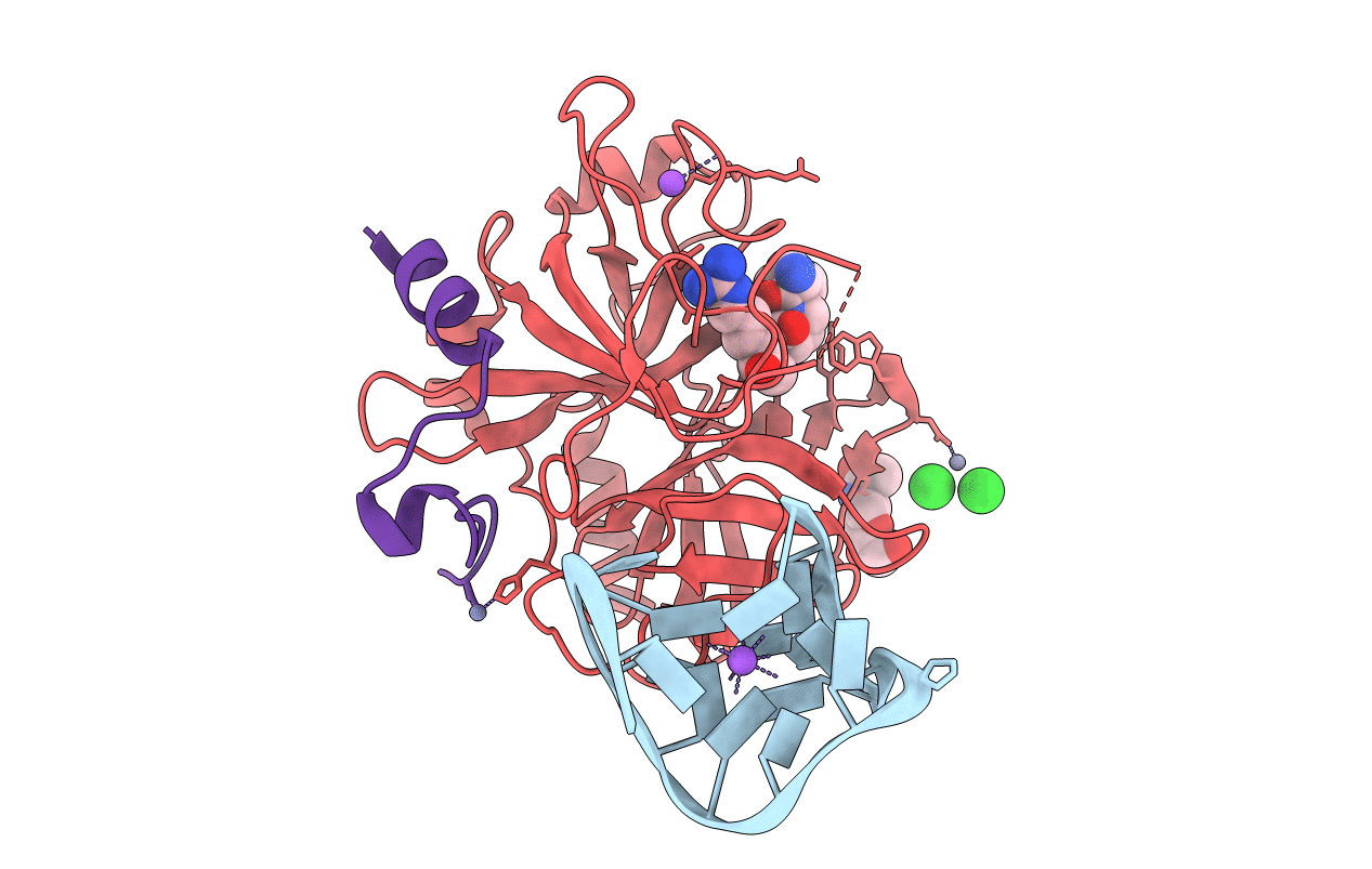 4DIH image