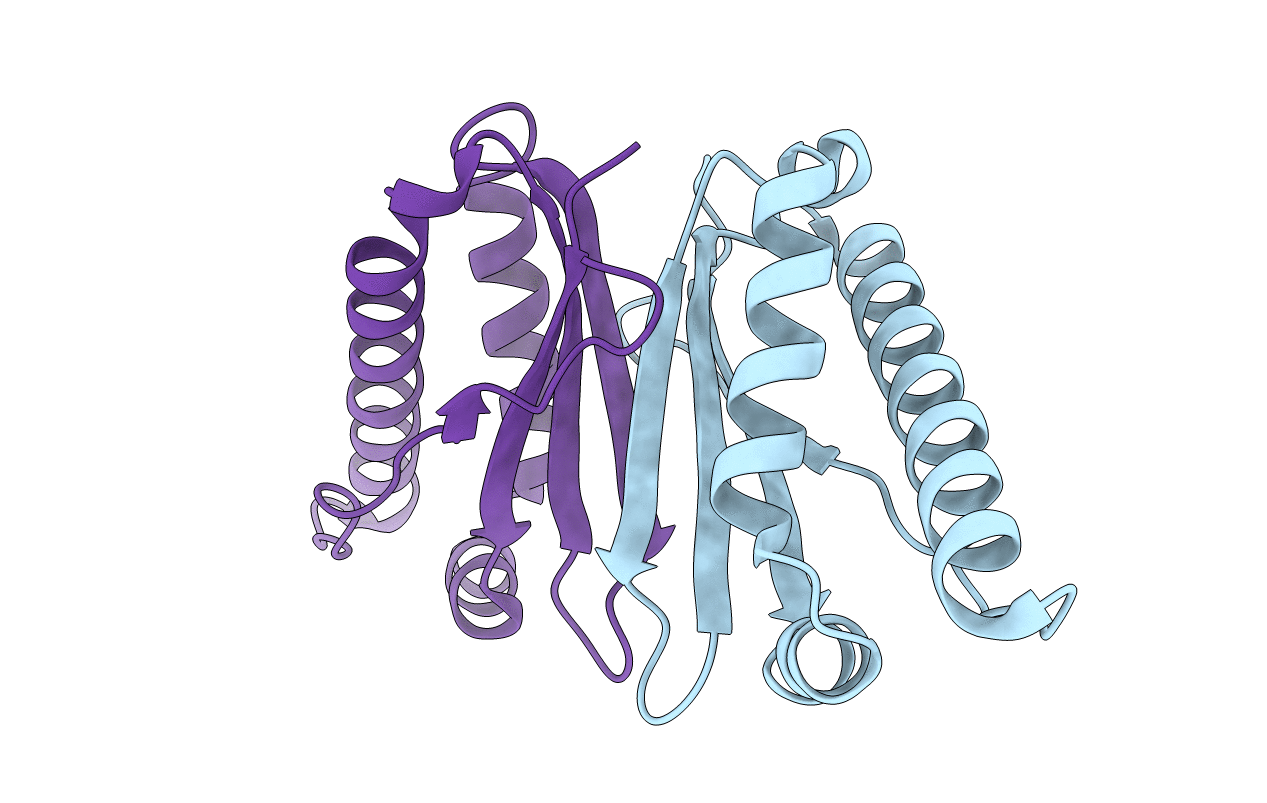 4DJB image