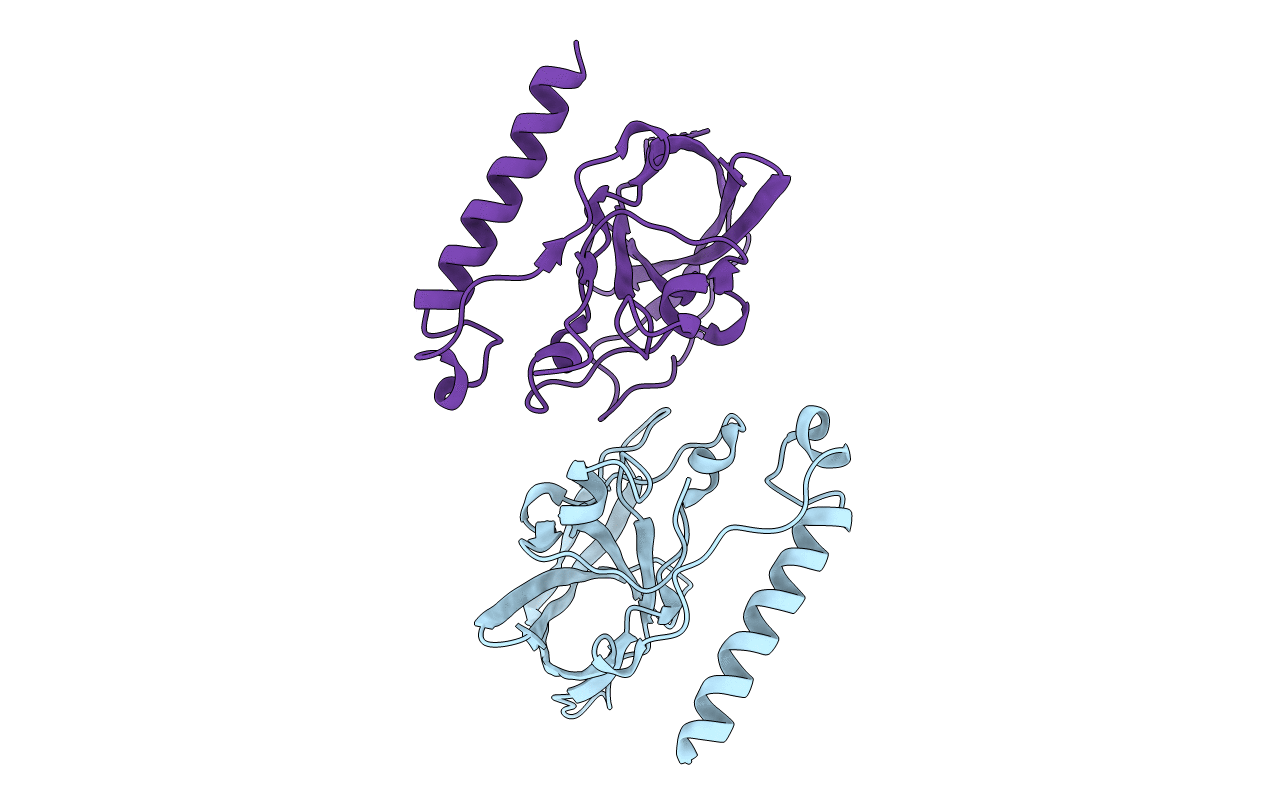 4DLH image