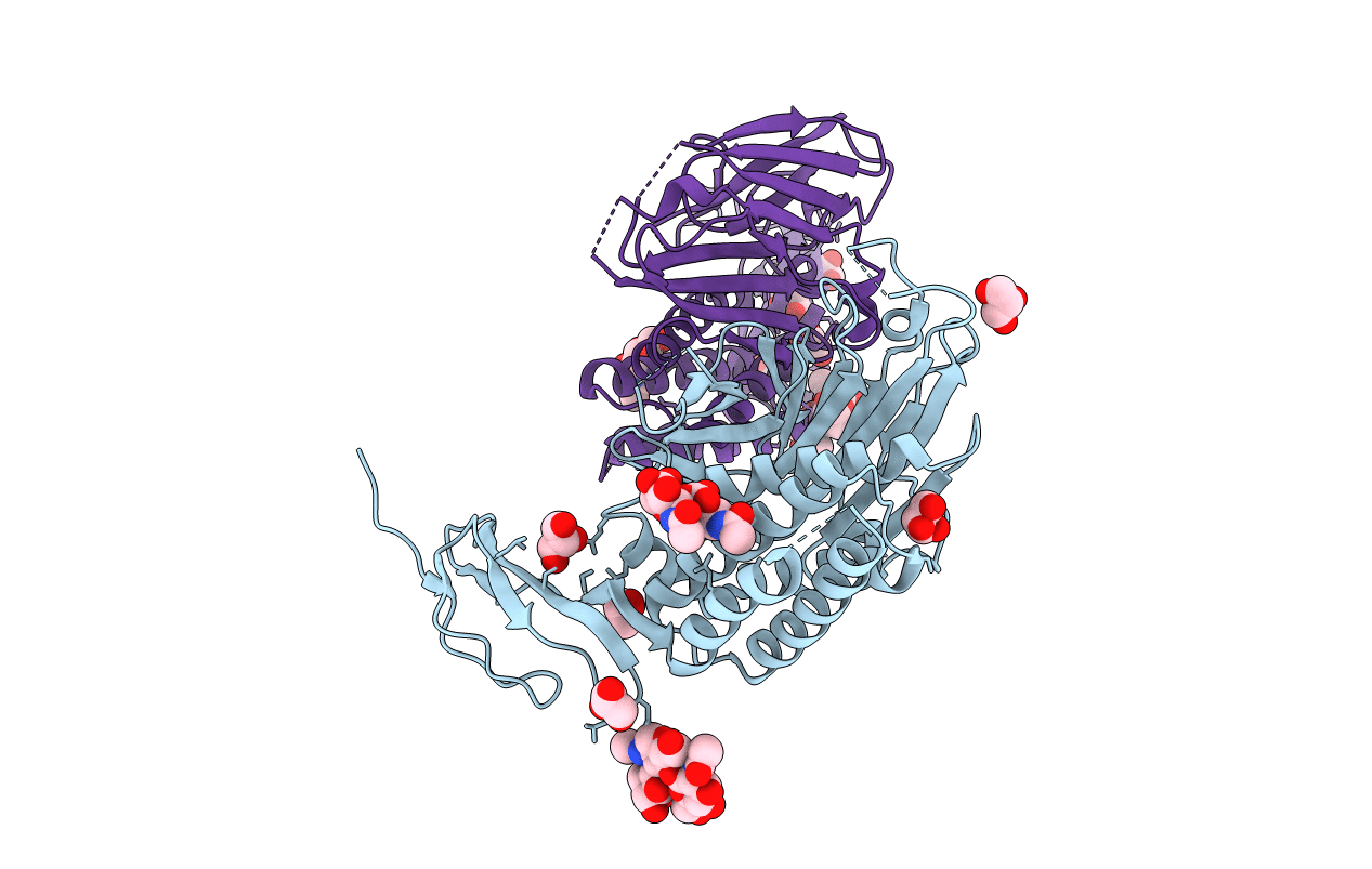 4DLO image