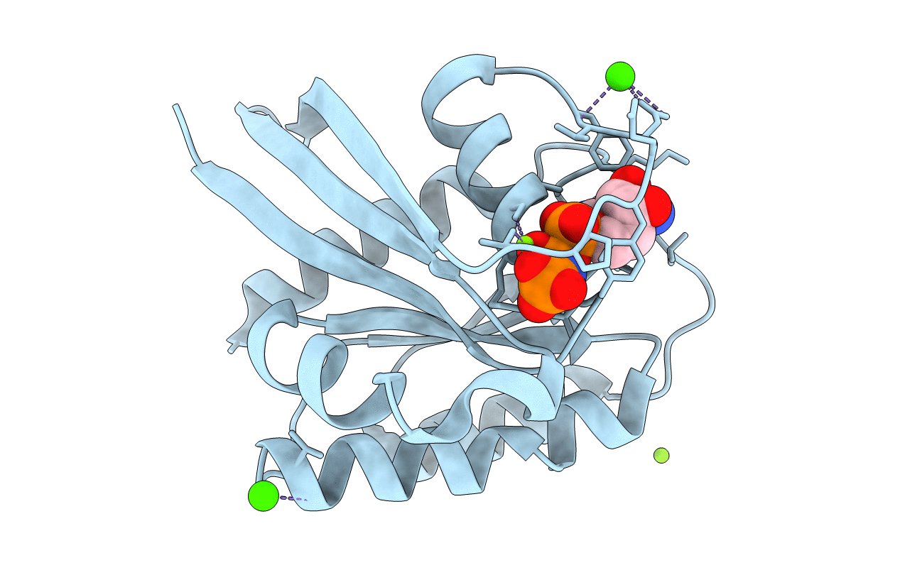 4DLS image