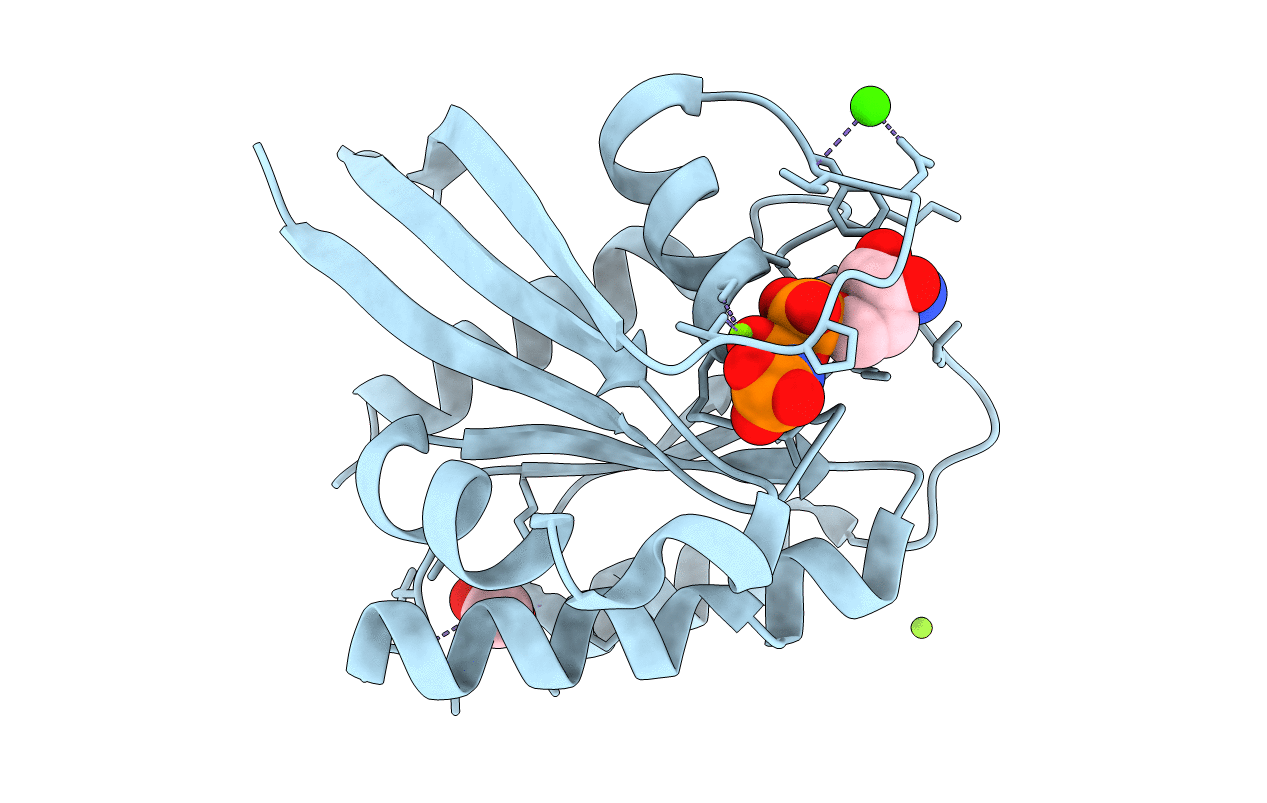 4DLU image
