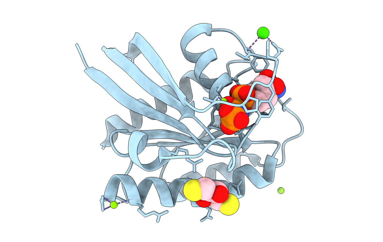 4DLV image