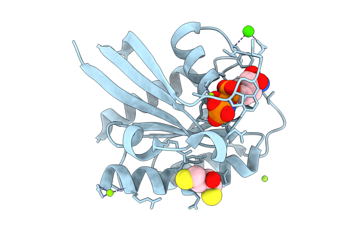 4DLX image