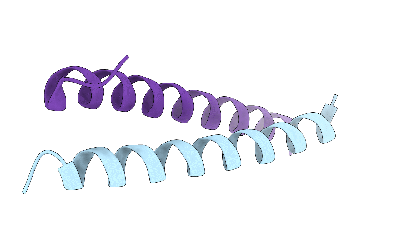 4DMD image
