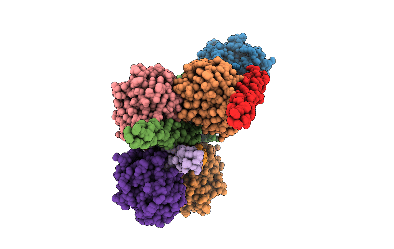 4DMU image