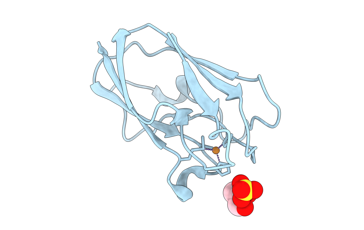4DP0 image