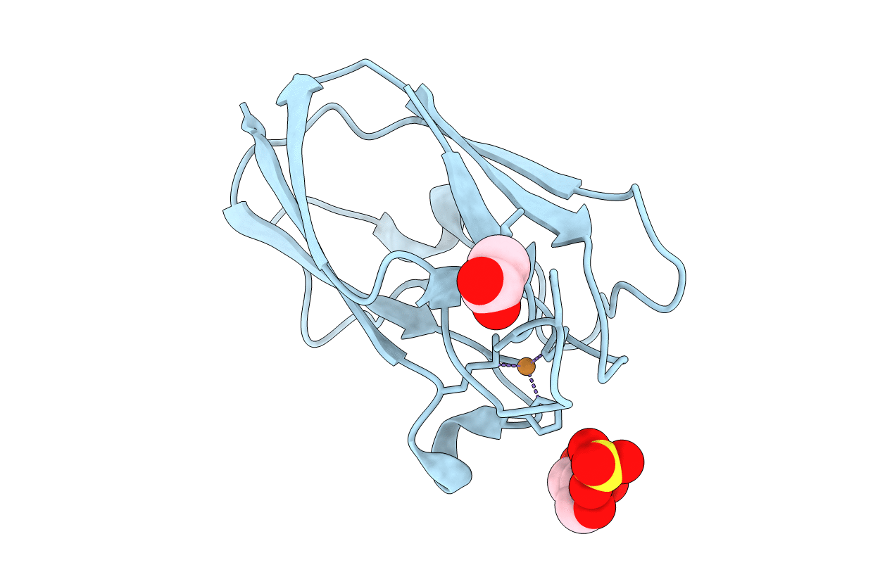 4DP1 image