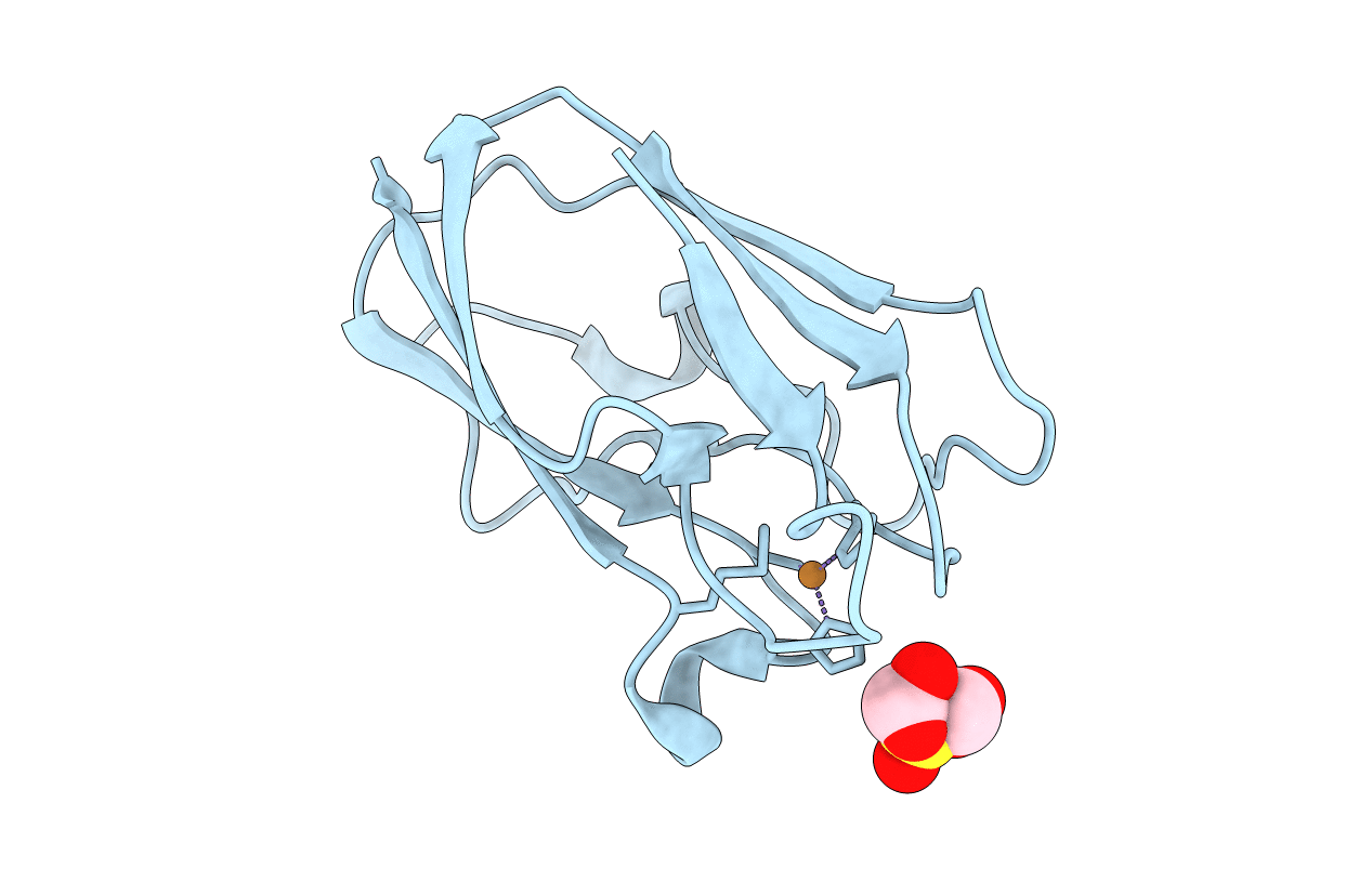 4DP4 image