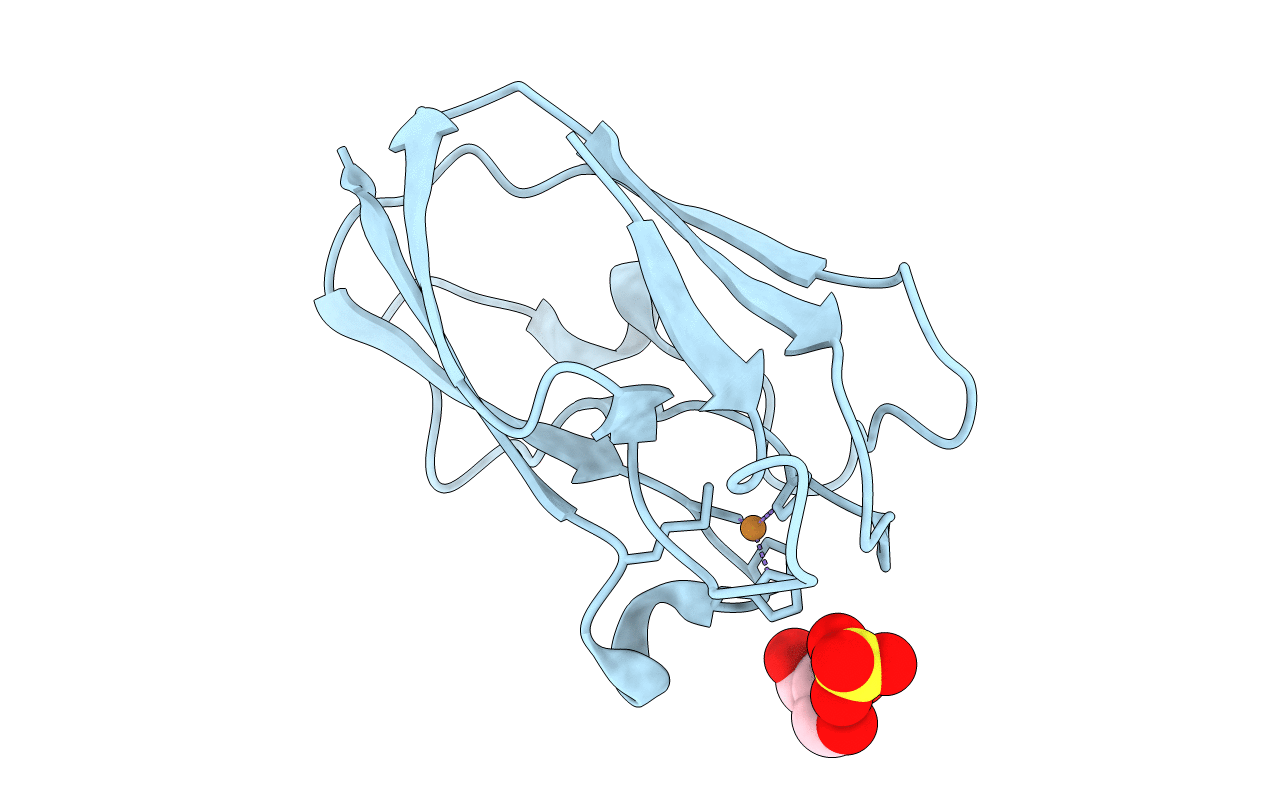 4DP5 image