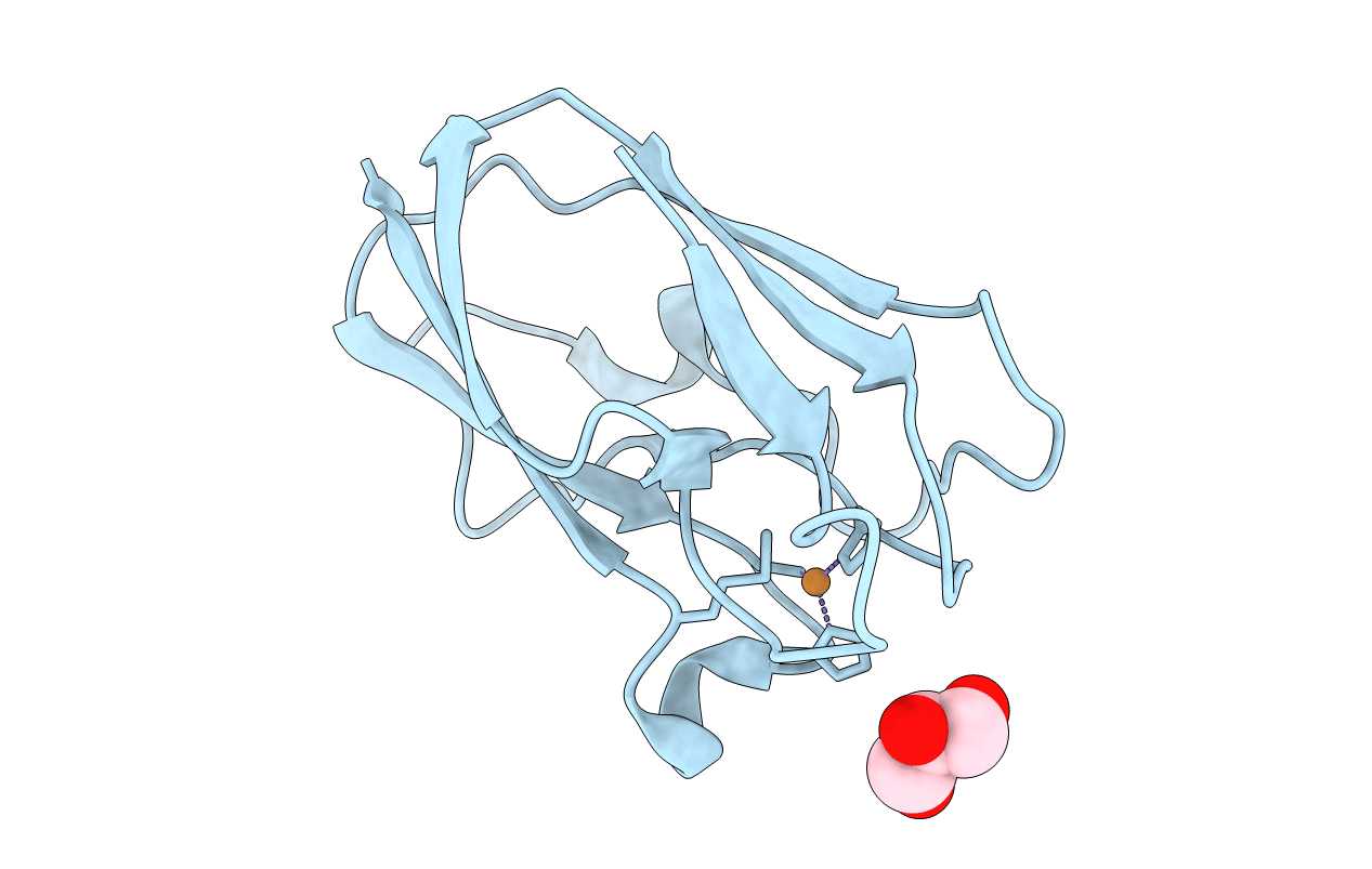 4DP6 image