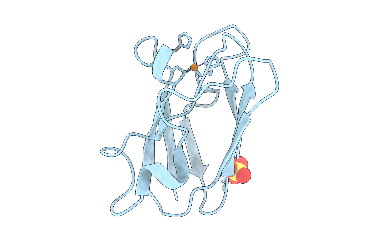 4DP8 image