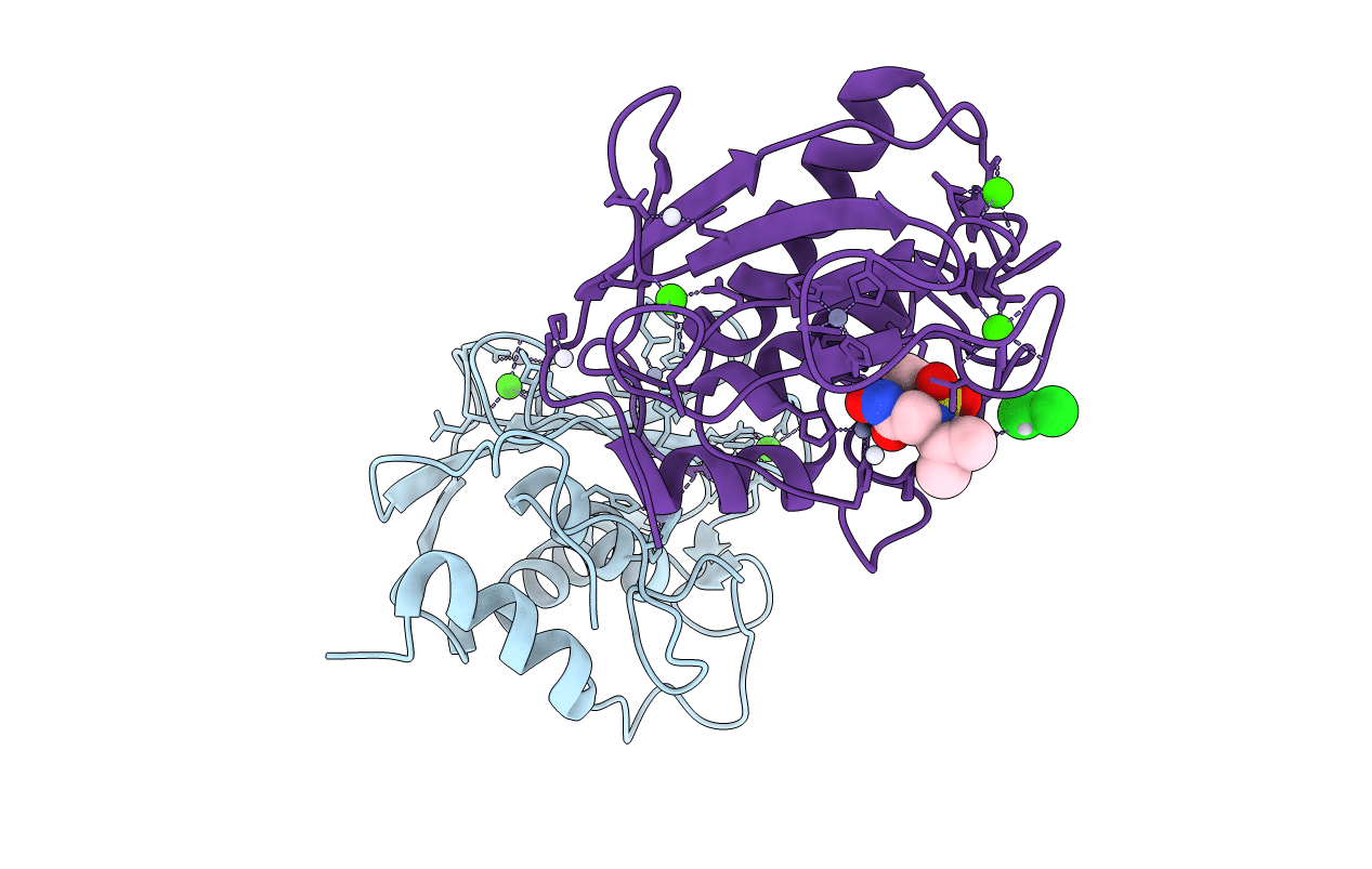 4DPE image