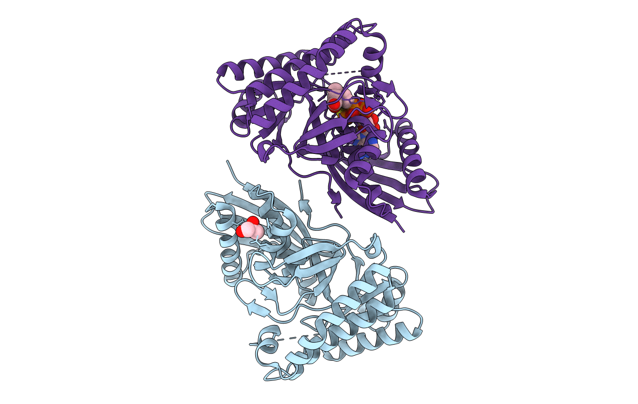 4DPT image
