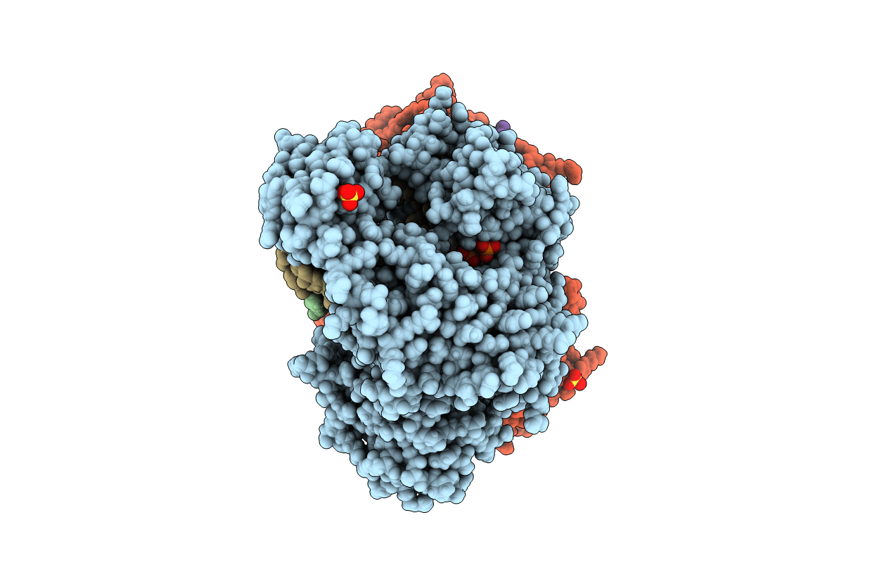 4DQI image