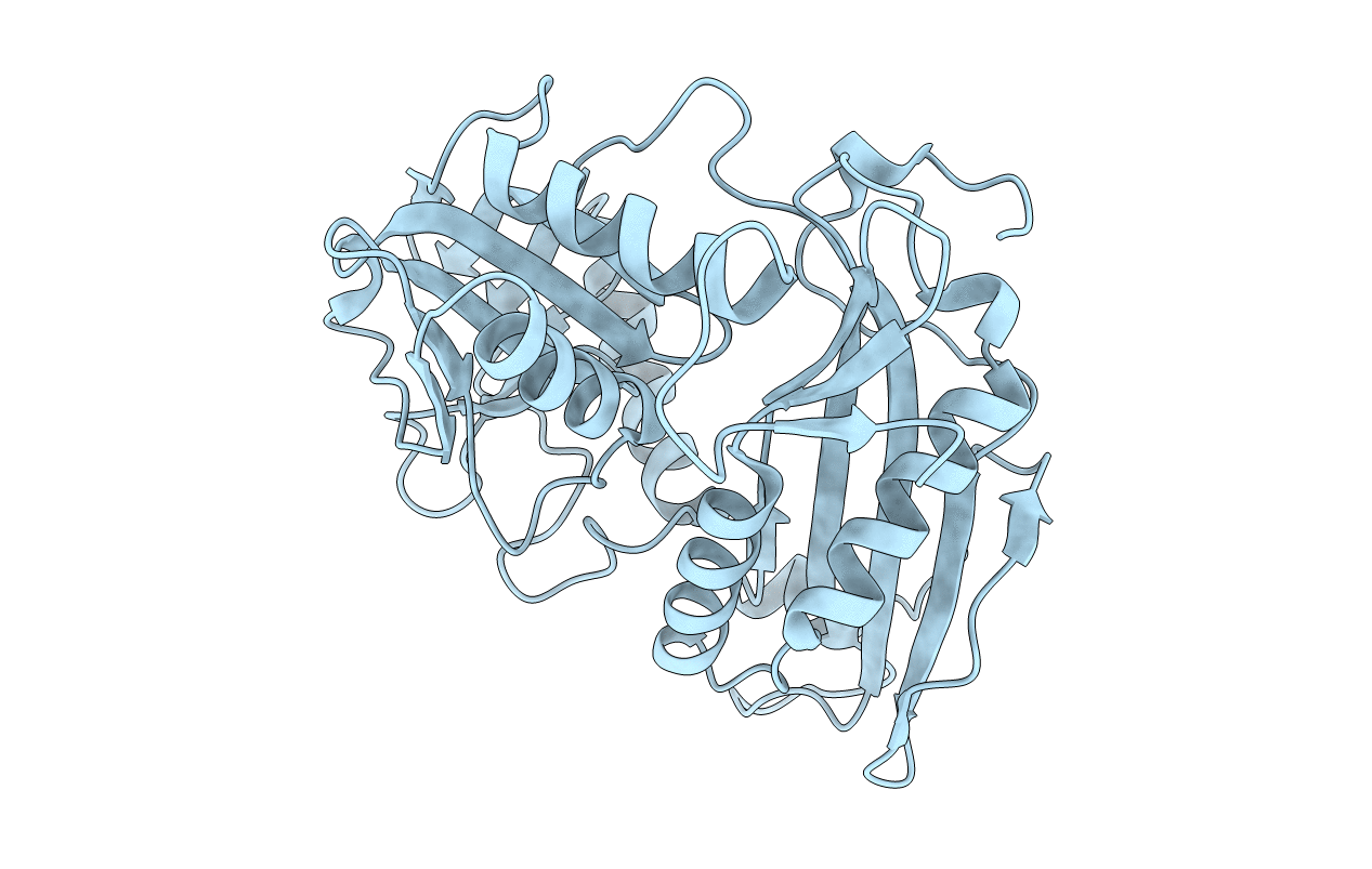4DQN image