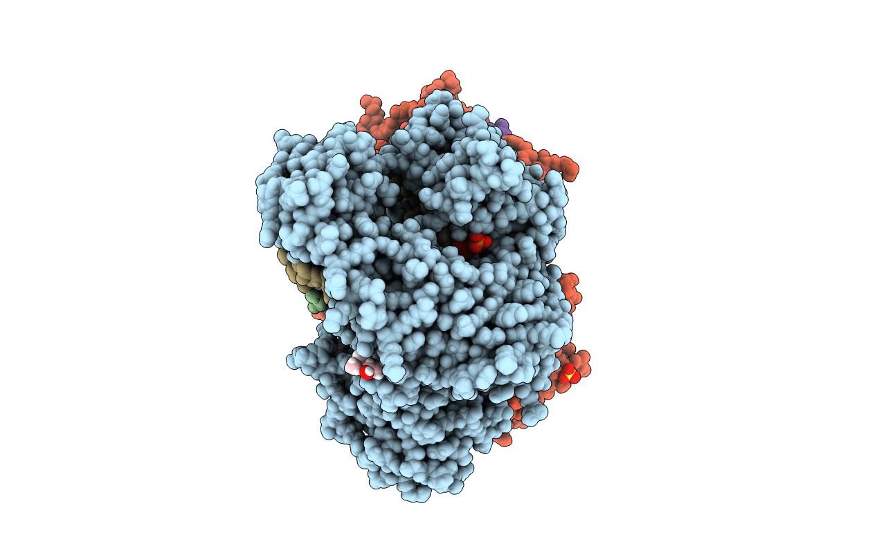 4DQR image