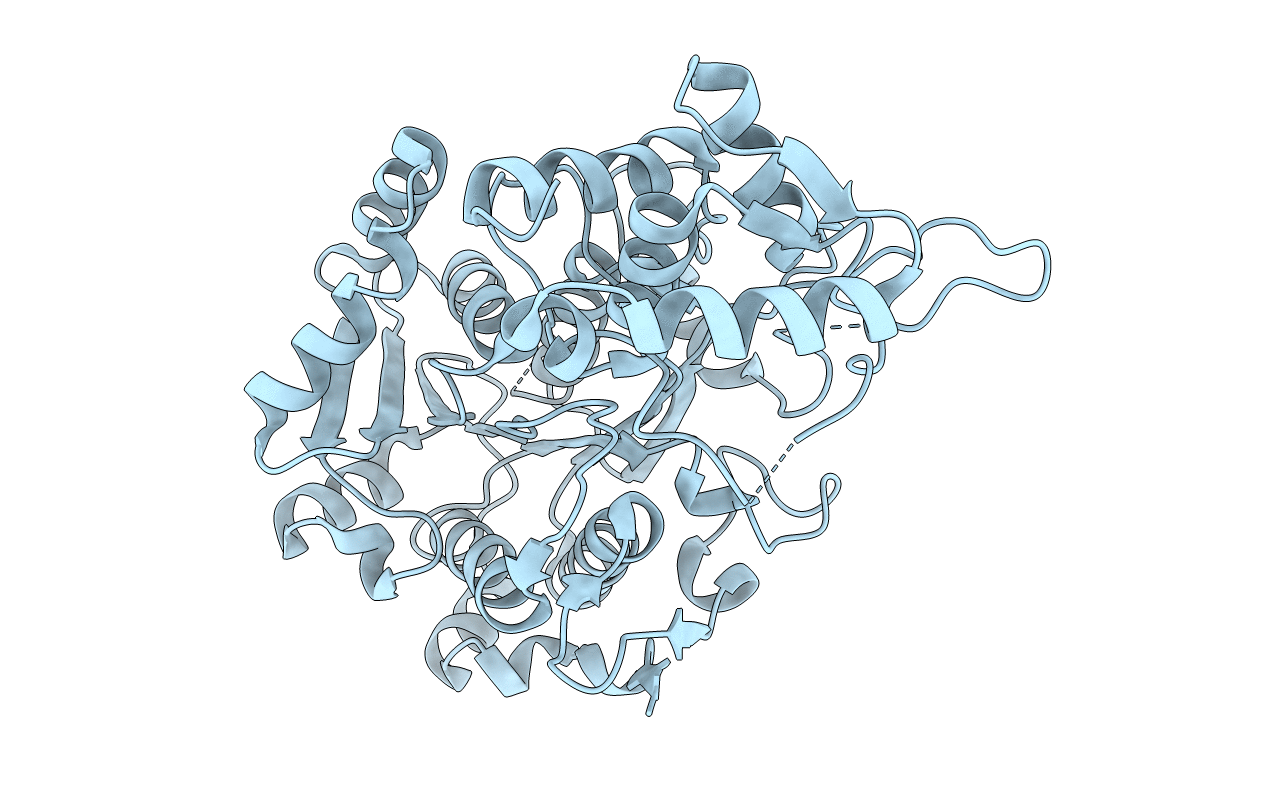 4DQV image
