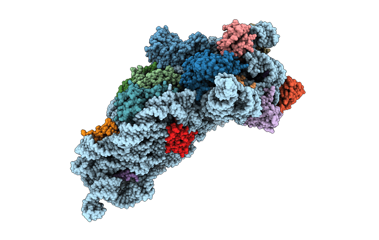 4DR1 image