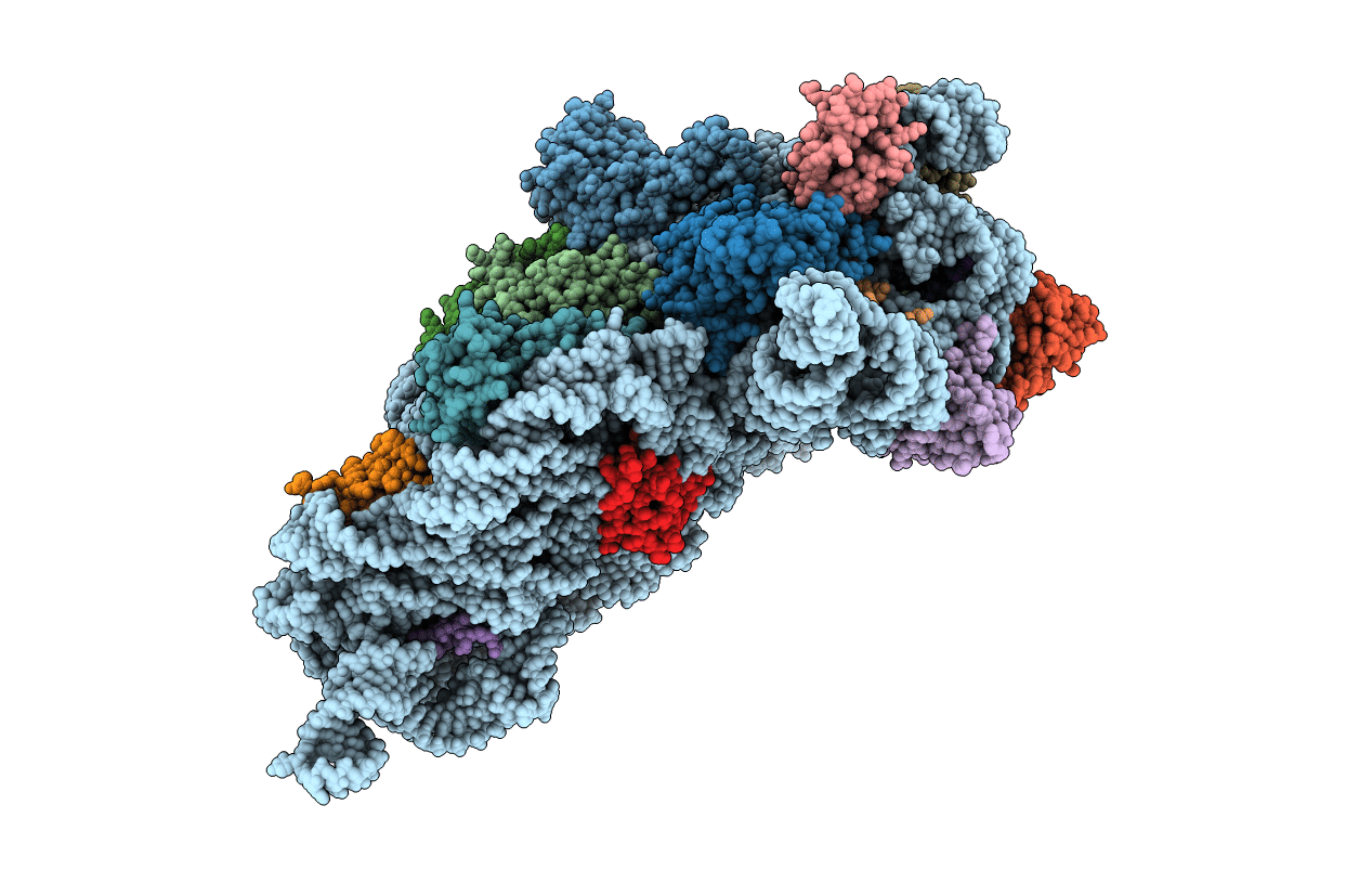 4DR3 image