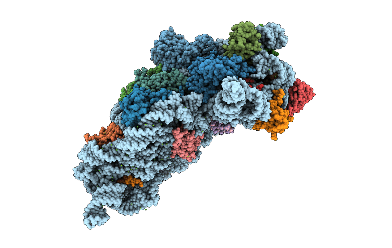 4DR6 image