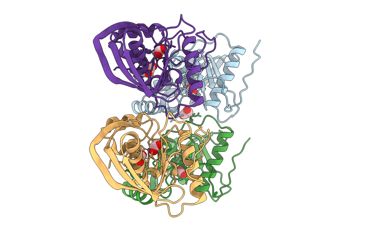 4DR8 image
