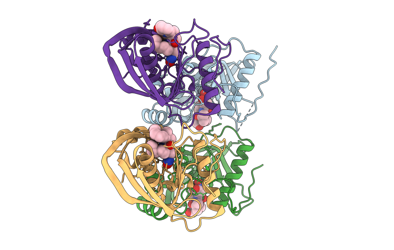 4DR9 image