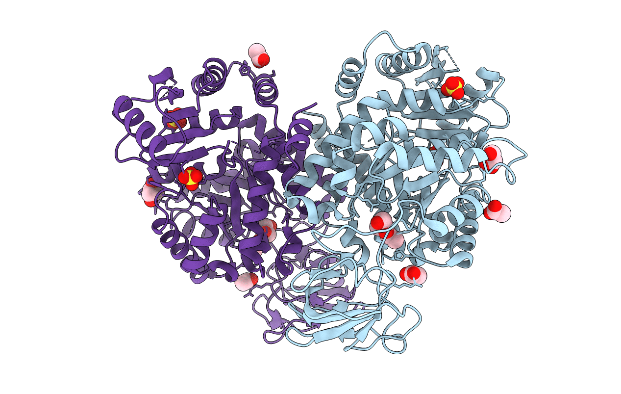 4DRS image