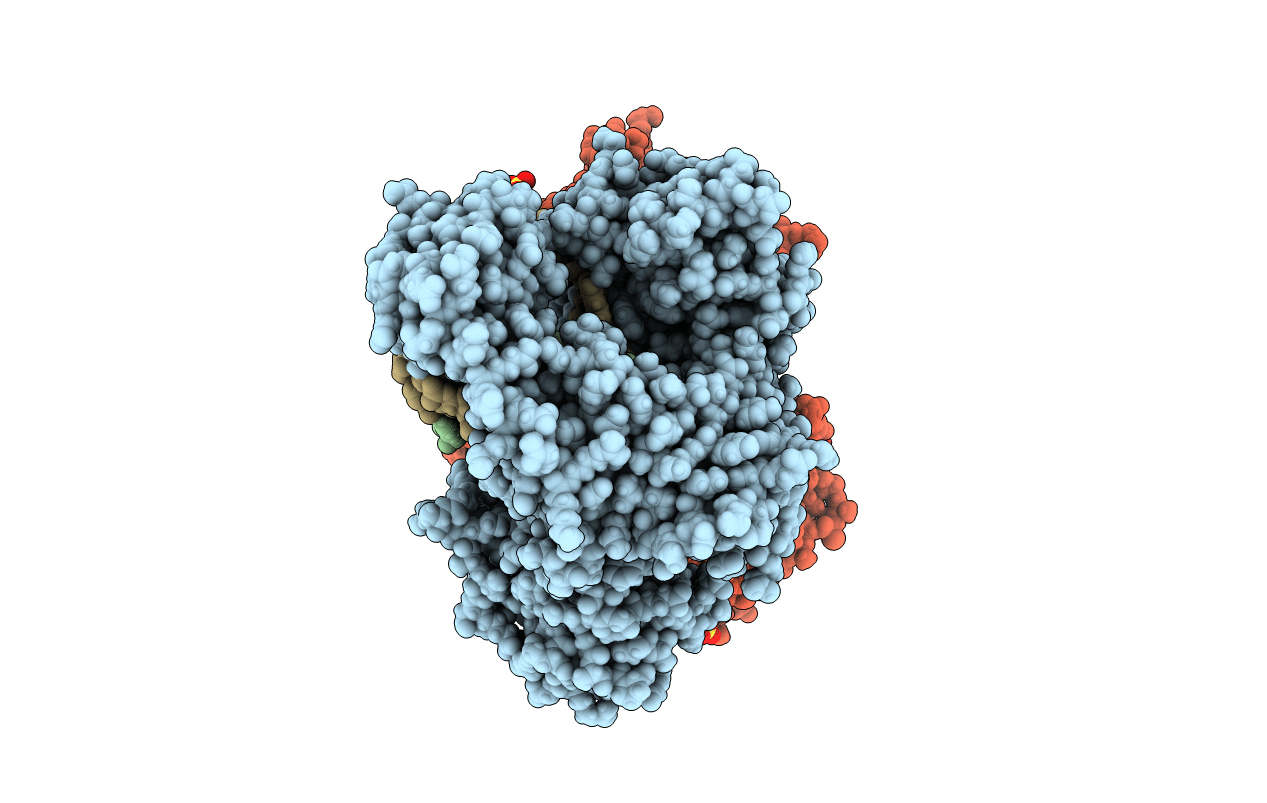 4DS5 image