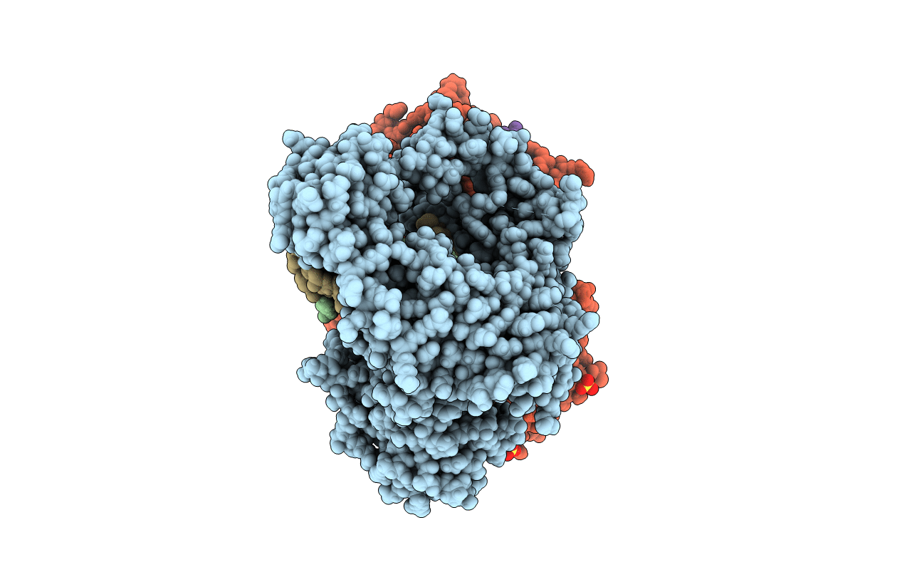 4DSE image