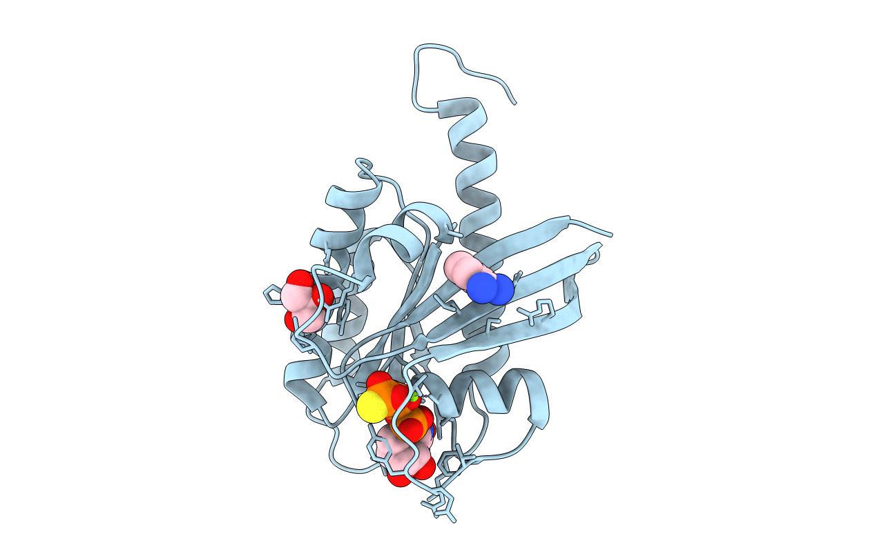 4DSO image